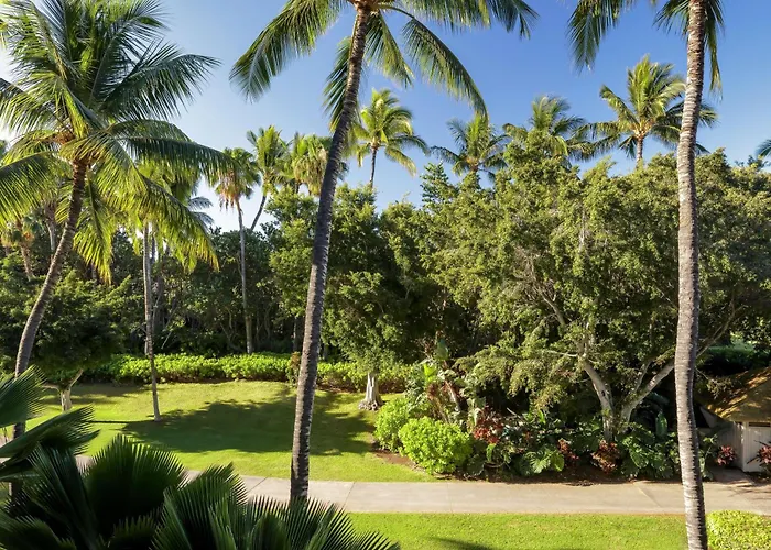 Fairmont Orchid